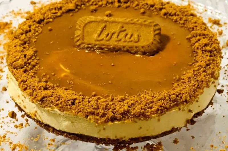 Irresistible No-Bake Lotus Biscoff Cheesecake Recipe: Decadent Delight in 5 Easy Steps!