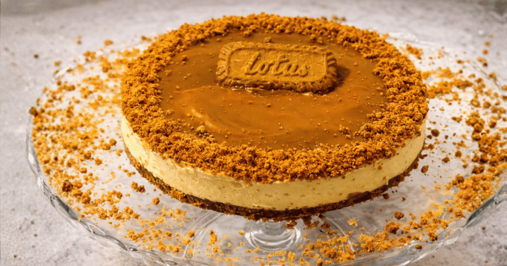 Easy No-Bake Lotus Biscoff Cheesecake Recipe: in 5 Steps!