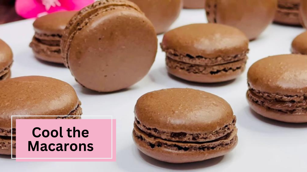 Chocolate Macarons