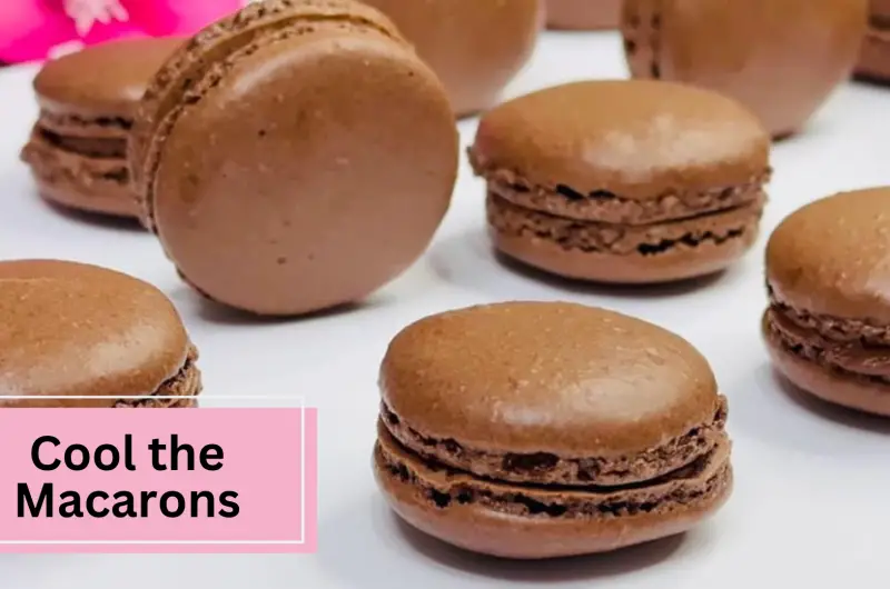 Best Chocolate Macarons Recipe By Continental Food