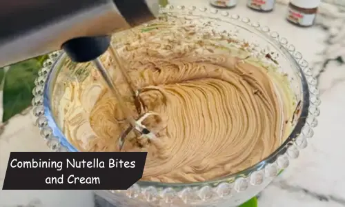 Nutella Gelato Recipe