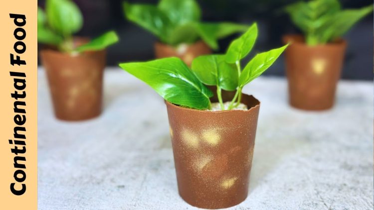  Exciting Chocolate Plant Pot Dessert: In 2 Steps😋