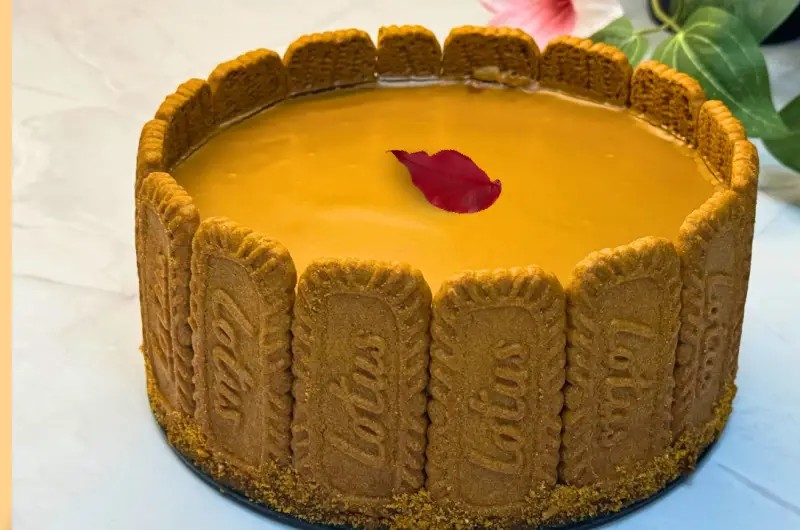 Creamy  Lotus Biscoff cheesecake Cake (Video)