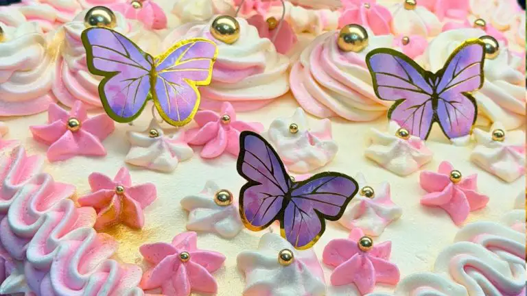 Continental Food Recipes 14 Stunning Homemade Butterfly Birthday Cake for My Friend 🦋✨